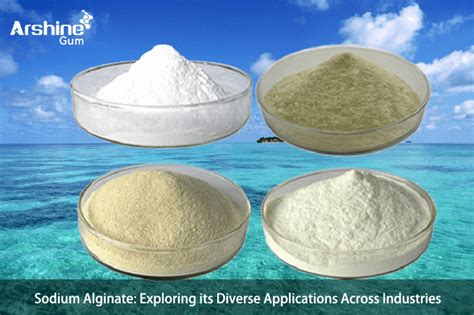 Alginate: Exploring its Versatility for Textile Applications and Sustainable Innovations!