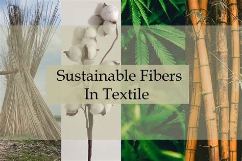  Bamboo Fibers: Weaving Sustainability into Textile Innovation!