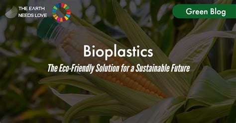 Is Inulin Your Future-Proof Bioplastic Solution for Sustainable Packaging?