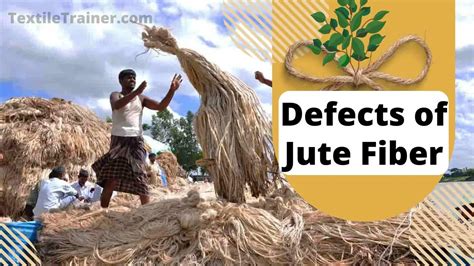 Jute Fiber: Exploring Its Incredible Tensile Strength and Sustainable Sourcing Practices!