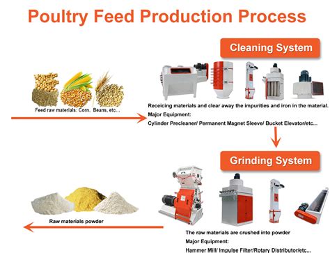 Wheat Bran: Unveiling Its Industrial Potential for Biofuel Production and Animal Feed Formulation!