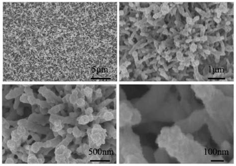 Where Does Tungsten Trioxide Find Its Industrial Niche: Exploring This Versatile Chemical Raw Material!