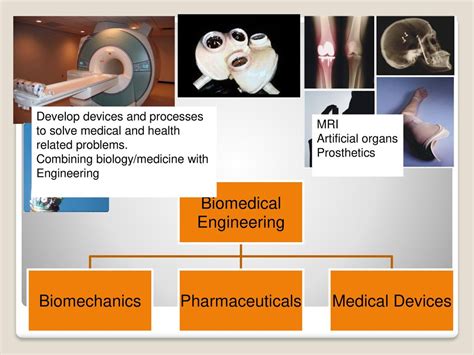  Xenoliths: Revolutionizing Biocompatible Prostheses and Regenerative Medicine?!